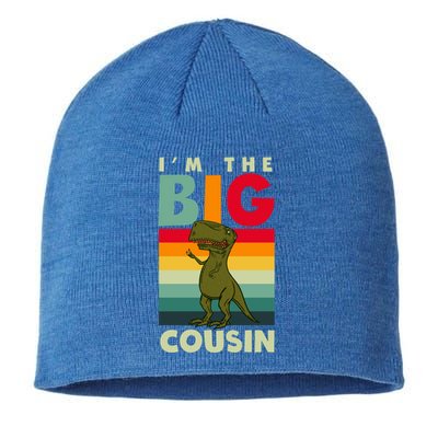 The Big Cousin Dinosaur Design Cousin Crew Gift Sustainable Beanie