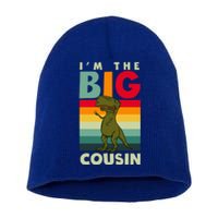 The Big Cousin Dinosaur Design Cousin Crew Gift Short Acrylic Beanie