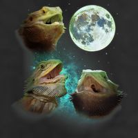 Three Bearded Dragons Howl At Moon 3 Wolfs Wolves Parody 11oz C Handle Ceramic Mug