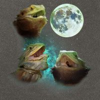 Three Bearded Dragons Howl At Moon 3 Wolfs Wolves Parody Cotton Canvas Backpack