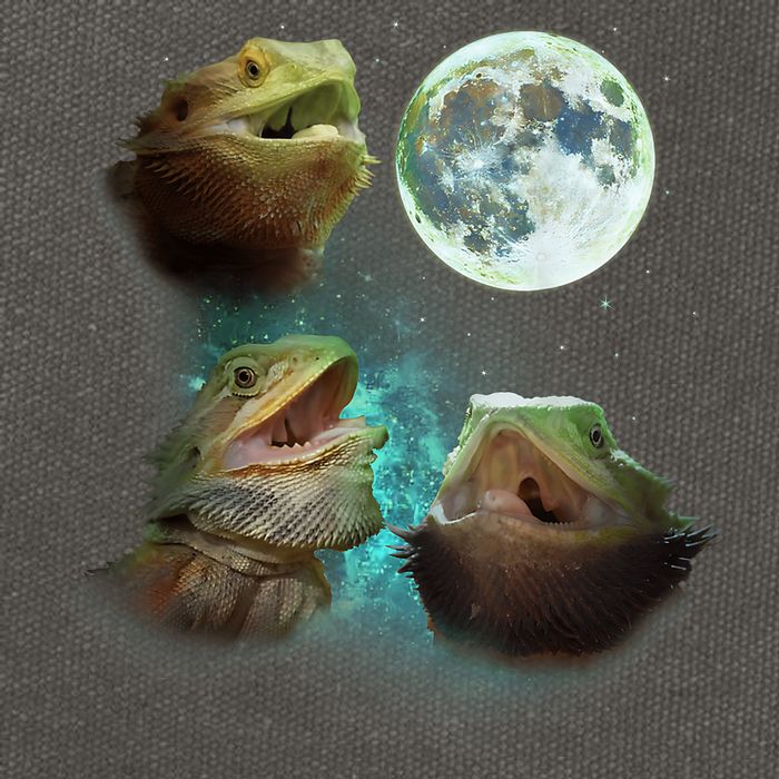 Three Bearded Dragons Howl At Moon 3 Wolfs Wolves Parody Cotton Canvas Backpack