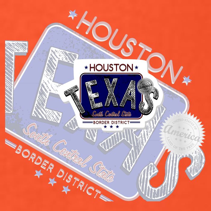 Texas Border District Cool State Logo Button