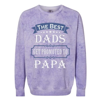 The Best Dads Get Promoted To Papa Fathers Day New Grandpa Colorblast Crewneck Sweatshirt