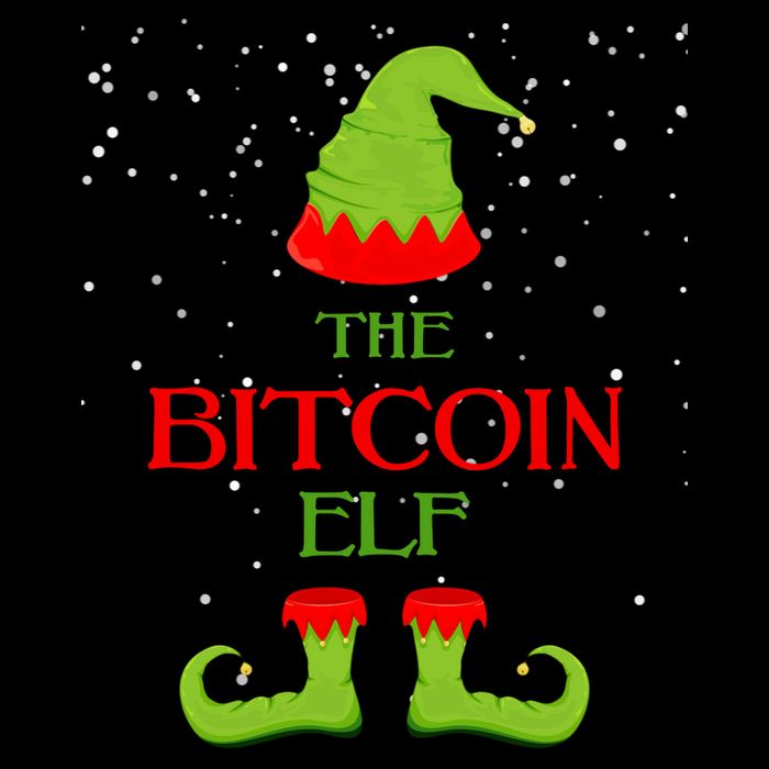 The Bitcoin Elf Funny Family Matching Christmas Mug