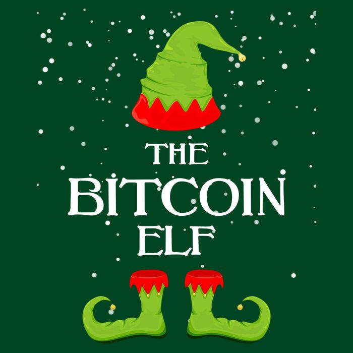 The Bitcoin Elf Funny Family Matching Christmas T-Shirt