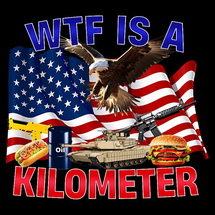 The Bald Eagle American Flag Wtf Is A Kilometer Sweatshirt