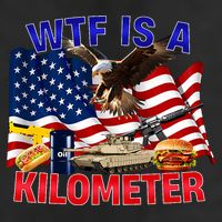 The Bald Eagle American Flag Wtf Is A Kilometer Beanie