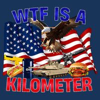 The Bald Eagle American Flag Wtf Is A Kilometer Infant Baby Jersey Bodysuit