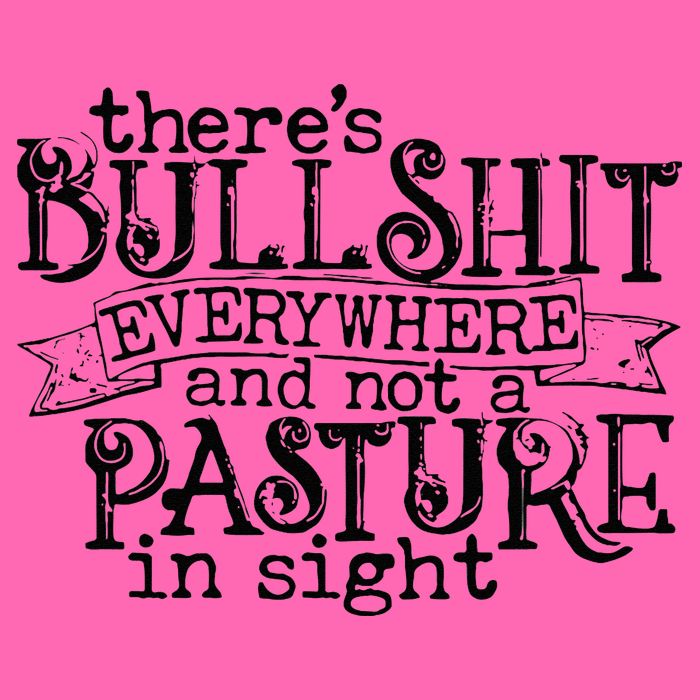 There’s Bullshit Everywhere And Not A Pasture In Sight Quote Stripe Pom Pom Beanie