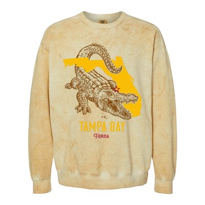 Tampa Bay Florida Fl Aligator Vacation Surf Sunset Colorblast Crewneck Sweatshirt