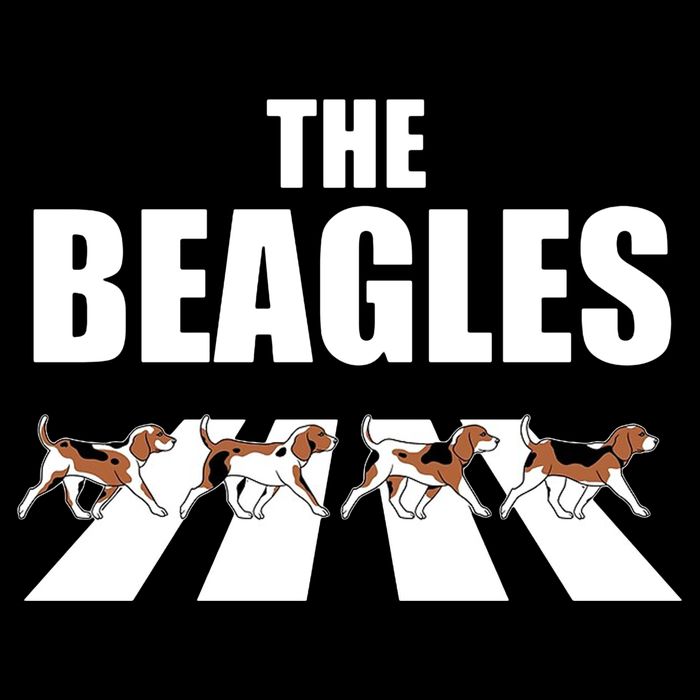 The Beagles Funny Beagle Dog Polo