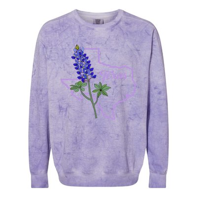 Texas Bluebonnet Flower Colorblast Crewneck Sweatshirt