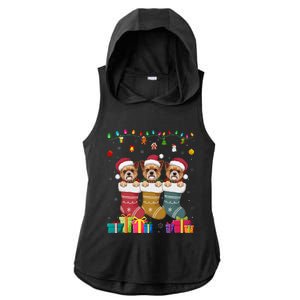 Three Brussels Griffon Dog In Sock Funny Xmas Ladies PosiCharge Tri-Blend Wicking Draft Hoodie Tank