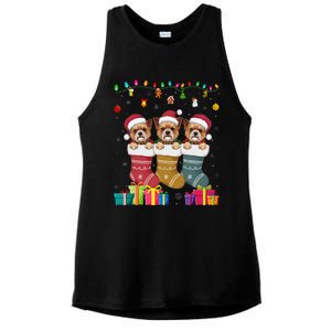 Three Brussels Griffon Dog In Sock Funny Xmas Ladies PosiCharge Tri-Blend Wicking Tank