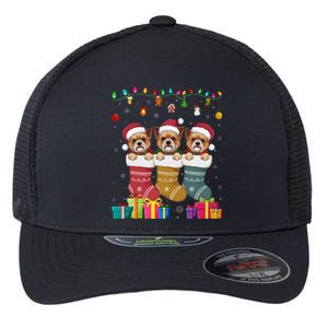 Three Brussels Griffon Dog In Sock Funny Xmas Flexfit Unipanel Trucker Cap