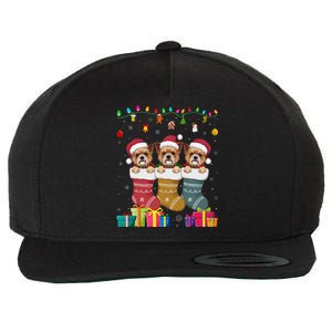 Three Brussels Griffon Dog In Sock Funny Xmas Wool Snapback Cap