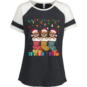 Three Brussels Griffon Dog In Sock Funny Xmas Enza Ladies Jersey Colorblock Tee