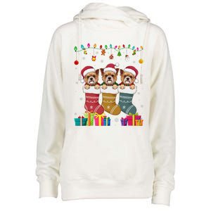 Three Brussels Griffon Dog In Sock Funny Xmas Womens Funnel Neck Pullover Hood