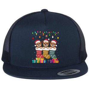 Three Brussels Griffon Dog In Sock Funny Xmas Flat Bill Trucker Hat