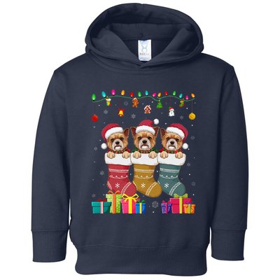 Three Brussels Griffon Dog In Sock Funny Xmas Toddler Hoodie