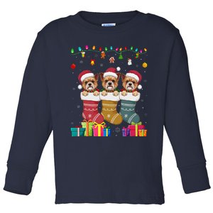 Three Brussels Griffon Dog In Sock Funny Xmas Toddler Long Sleeve Shirt