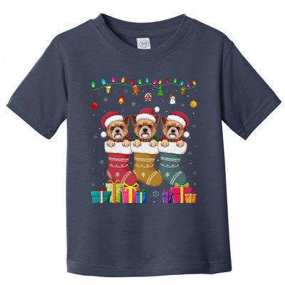 Three Brussels Griffon Dog In Sock Funny Xmas Toddler T-Shirt