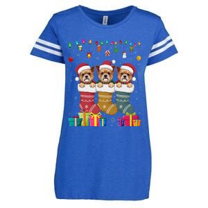 Three Brussels Griffon Dog In Sock Funny Xmas Enza Ladies Jersey Football T-Shirt