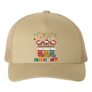 Three Brussels Griffon Dog In Sock Funny Xmas Yupoong Adult 5-Panel Trucker Hat