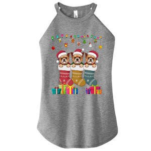 Three Brussels Griffon Dog In Sock Funny Xmas Women's Perfect Tri Rocker Tank