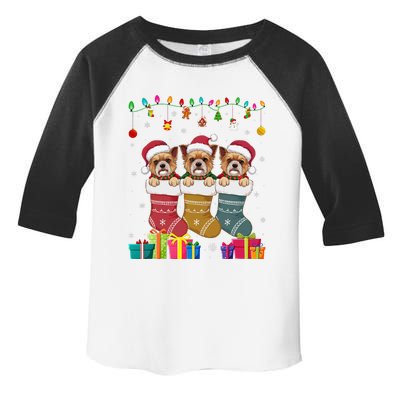 Three Brussels Griffon Dog In Sock Funny Xmas Toddler Fine Jersey T-Shirt