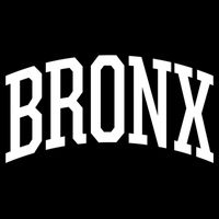 The Bronx Gift New York City Nyc Bronx Gift Hooded Flat Bill Trucker Hat