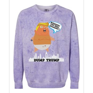 Trump Balloon Gift Colorblast Crewneck Sweatshirt