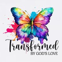 Transformed By Gods Love Colorful Butterfly Performance Shirt