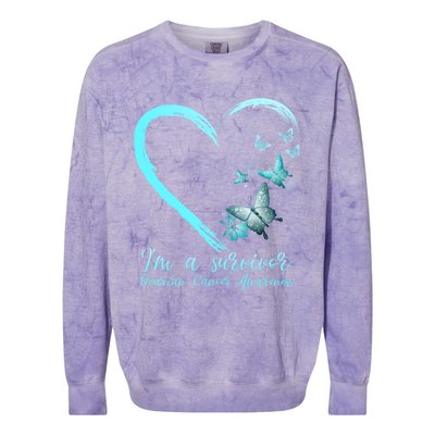 Teal Butterfly Heart Survivor Ovarian Cancer Awareness Tee Cool Gift Colorblast Crewneck Sweatshirt