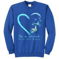 Teal Butterfly Heart Survivor Ovarian Cancer Awareness Tee Cool Gift Sweatshirt