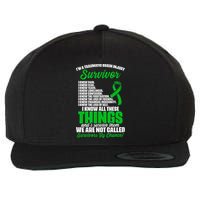 Traumatic Brain Injury Survivor Support TBI Survivor Wool Snapback Cap