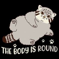 The Body Is Round Pallas Cat Funny Cute Pallas Cat Lover Bucket Hat