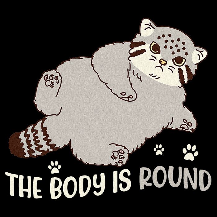 The Body Is Round Pallas Cat Funny Cute Pallas Cat Lover Bucket Hat