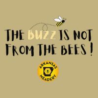The Buzz Is Not From The Bees Cooling Performance Long Sleeve Crew
