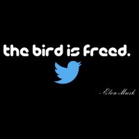 The Bird Is Freed Musk Quote Drawstring Bag