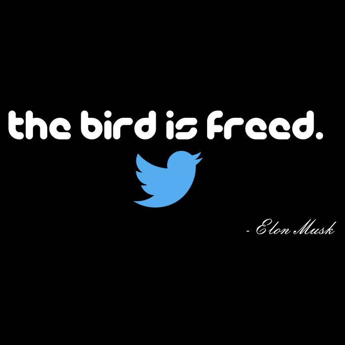 The Bird Is Freed Musk Quote Premium T-Shirt