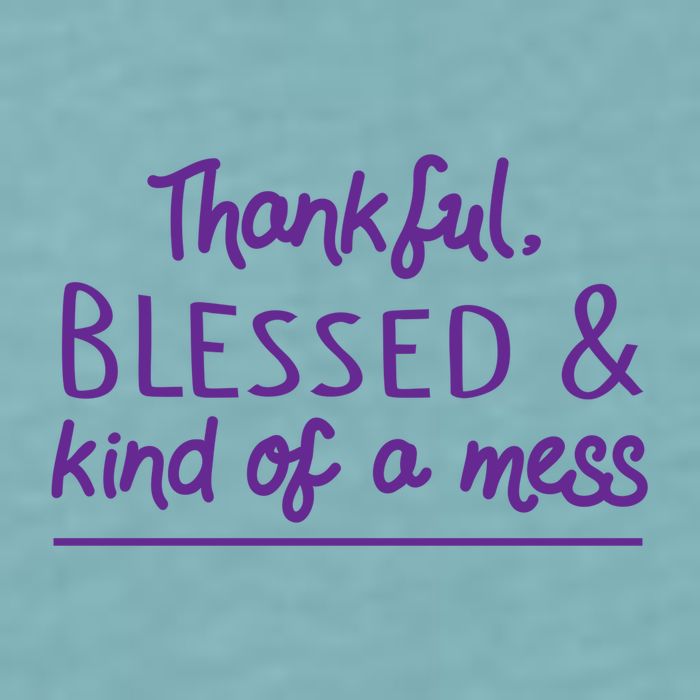 Thankful Blessed & Kind Of A Mess Sueded Cloud Jersey T-Shirt