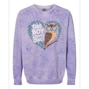 This Boy Loves Owls Cute Owl Valentines Day Colorblast Crewneck Sweatshirt