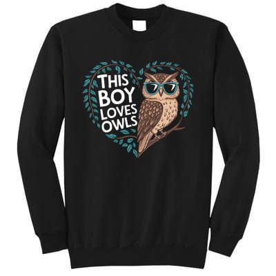 This Boy Loves Owls Cute Owl Valentines Day Sweatshirt