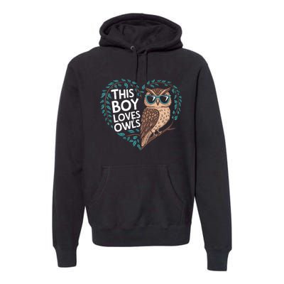 This Boy Loves Owls Cute Owl Valentines Day Premium Hoodie