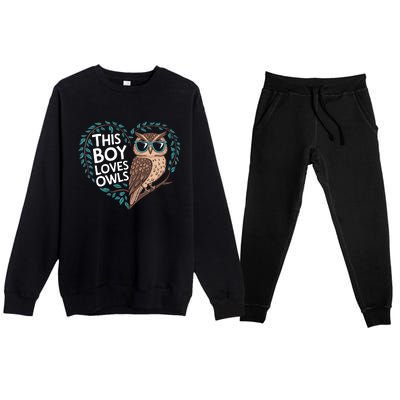 This Boy Loves Owls Cute Owl Valentines Day Premium Crewneck Sweatsuit Set