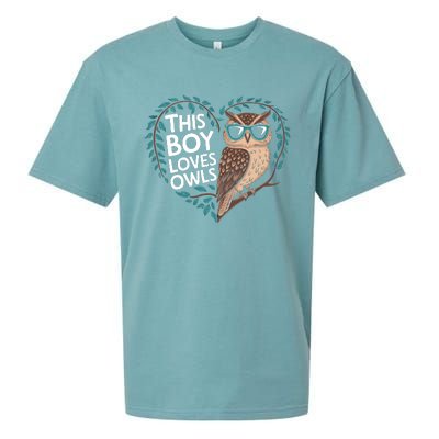 This Boy Loves Owls Cute Owl Valentines Day Sueded Cloud Jersey T-Shirt