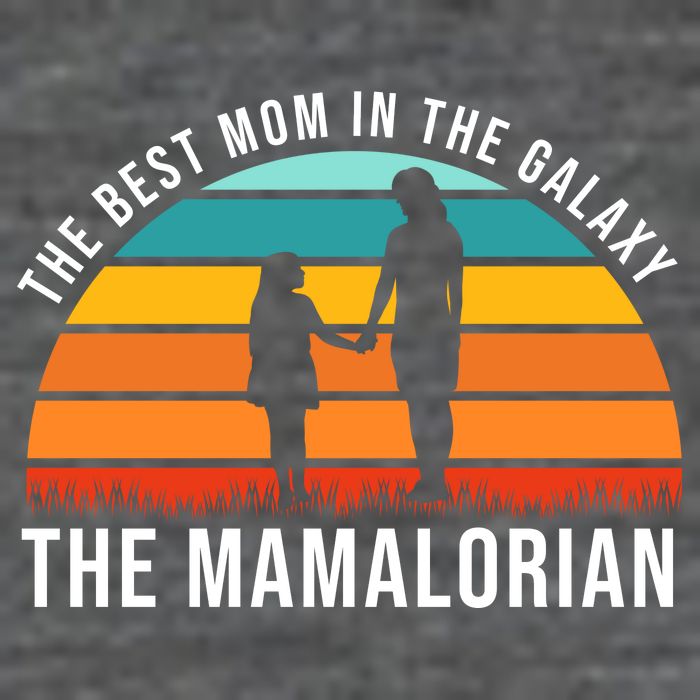 The Best Mom In The Galaxy The Mamalorian Retro Sunset Flatbill Hat
