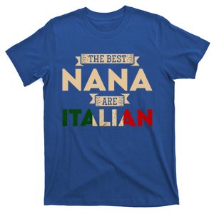 The Best Nana Are Italian Flag Funny Italian Papa Funny Gift T-Shirt