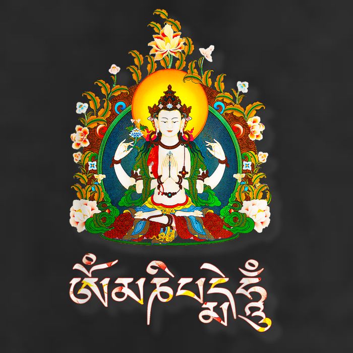 Tibetan Buddha Om Mani Padme Hum Amitabh Adult Drive Performance Visor